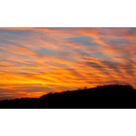 Minsmere Sunset