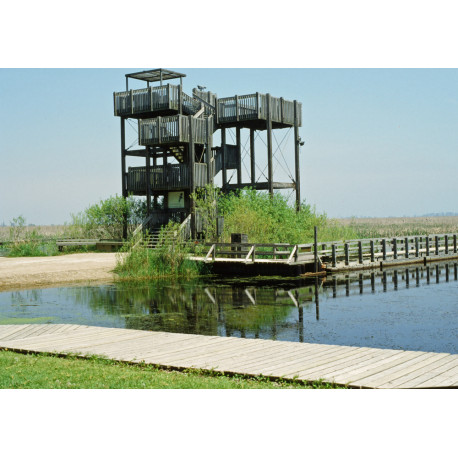 Point Pelee Canada