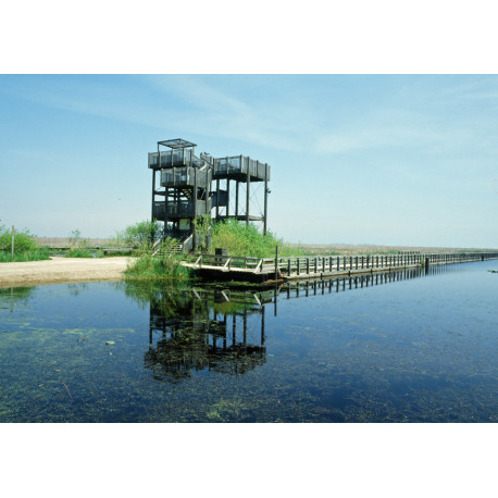 Point Pelee Canada 1