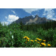 Rockies Mountain Canada 3