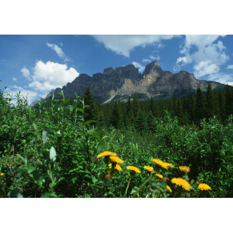 Rockies Mountain Canada 3