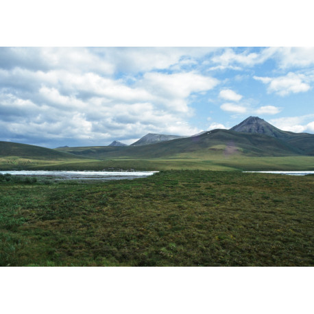 Yukon Scene 1