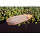 Dingy Footman
