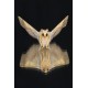 Dusky Thorn Moth on glass