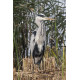 Grey Heron at Strumpshaw 2