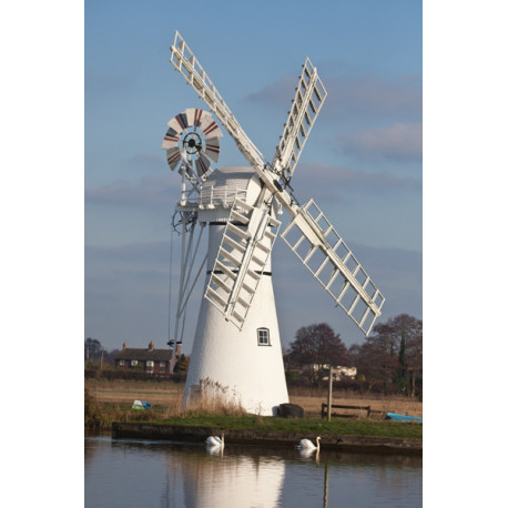 Thurne Mill