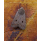 Red Line Quaker Moth