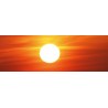 12x36 Banner Print