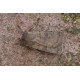 Square Spot Rustic Moth 2