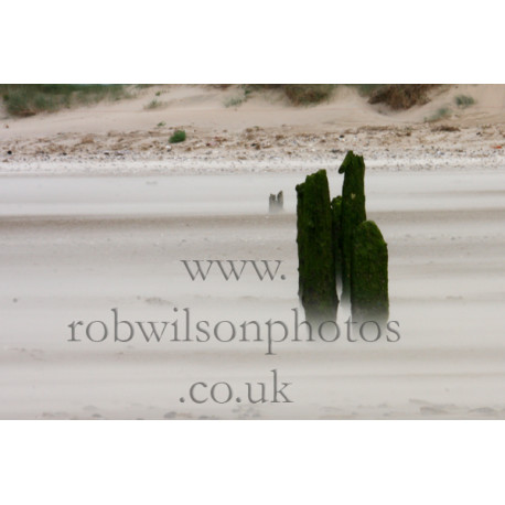 Titchwell Beach in the wind