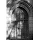 Cathedral Door, Norwich